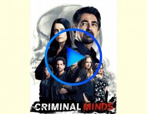346521 300x234 - Мыслить как преступник (Criminal Minds) смотреть онлайн